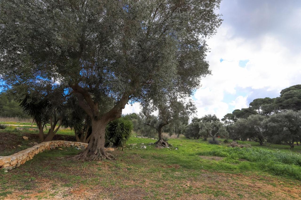 Casina Fumarola Vendégház Ostuni Kültér fotó