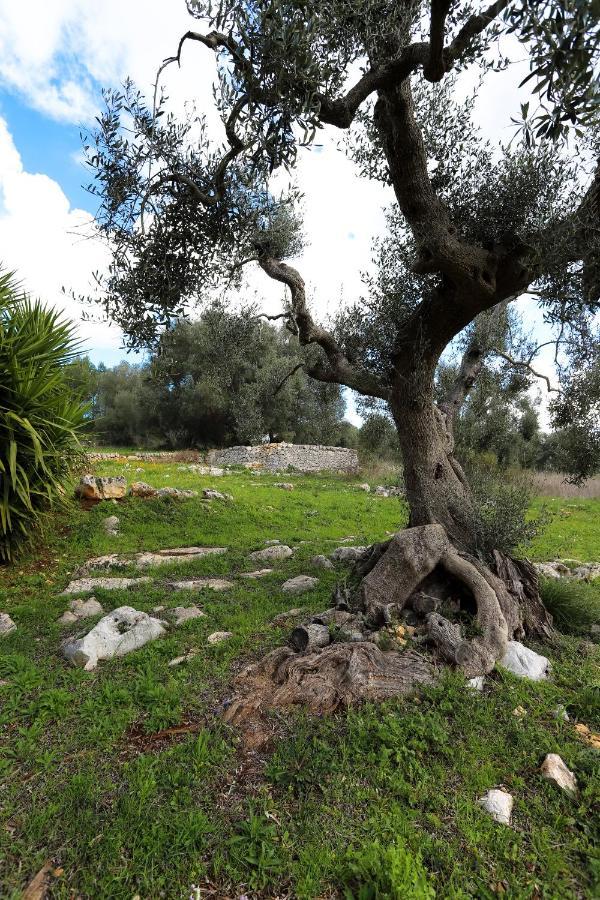 Casina Fumarola Vendégház Ostuni Kültér fotó